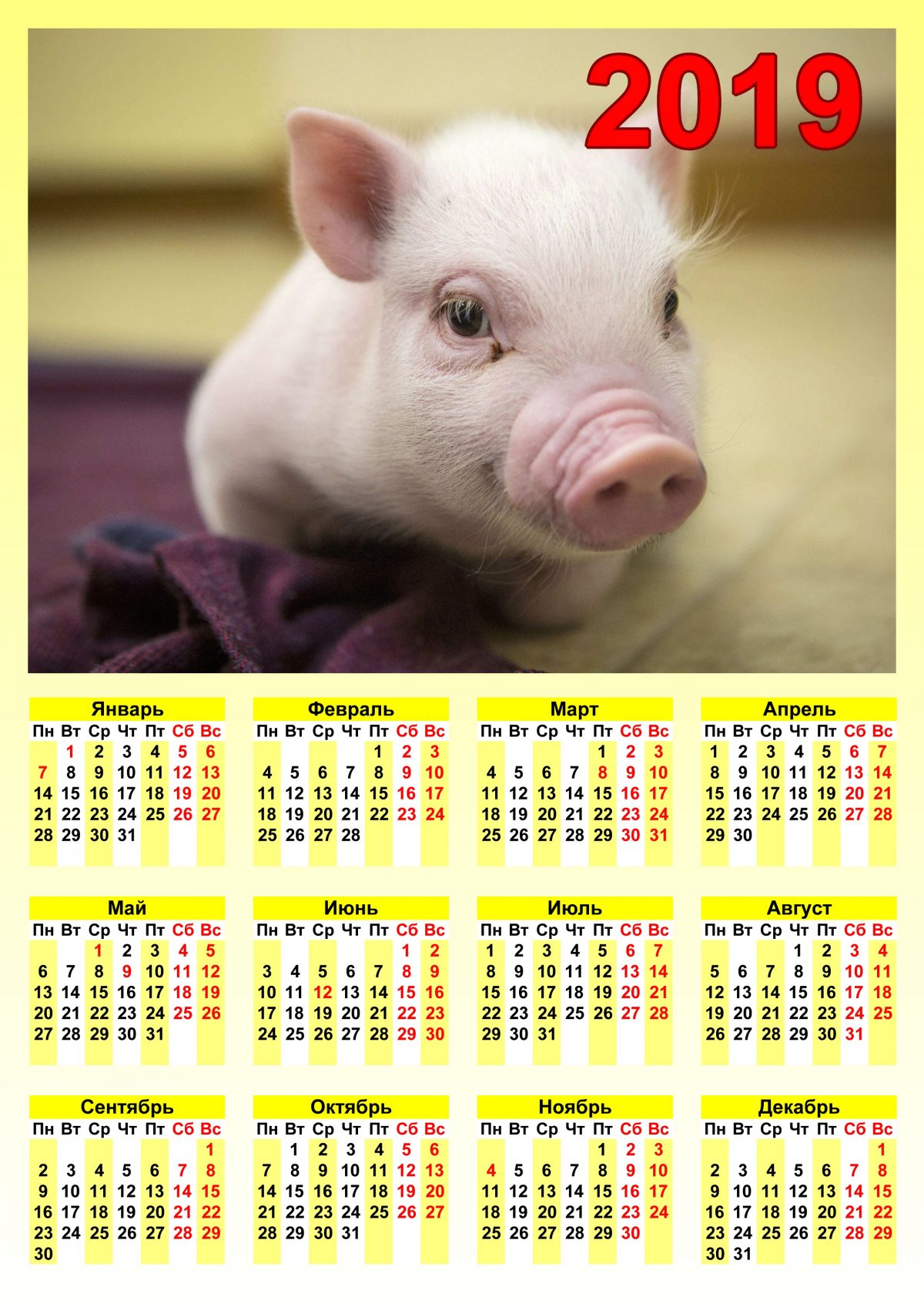 Календарь с свинкой распечатать