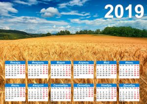 Календарь поле на 2019 год распечатать