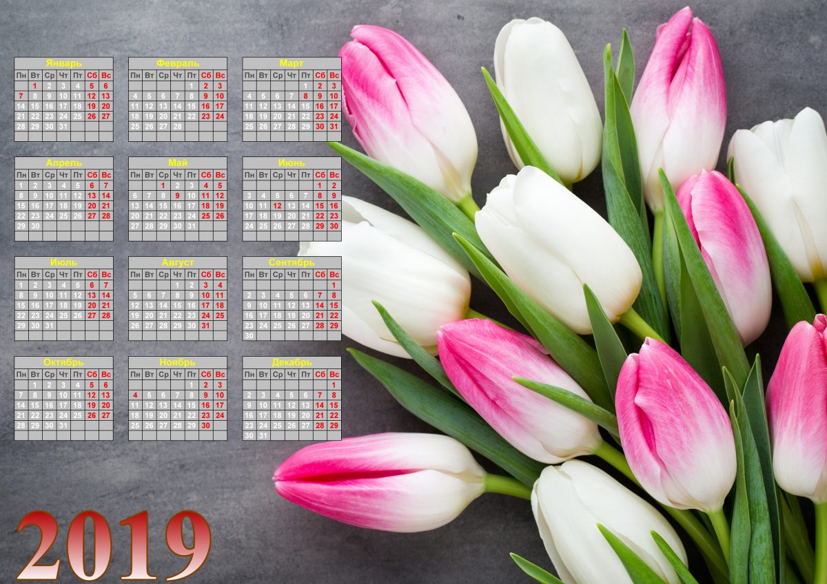 Календарь с тюльпанами скачать бесплатно