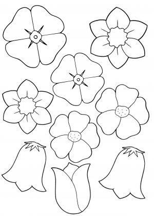 Цветы разные черно-белые распечатать