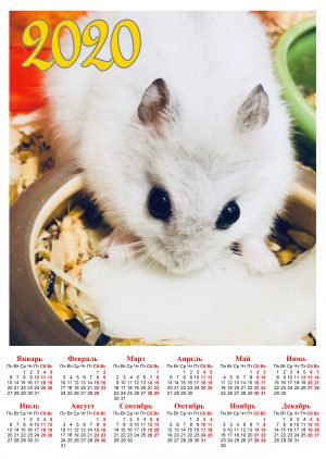 Календарь с крысой скачать в формате А4